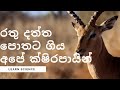 රතු දත්ත පොතට ගිය අපේ ක්ෂිරපායින් | Sinhala |Learn Science