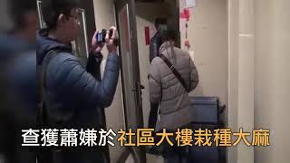 警政署「安居專案」反毒宣導影片