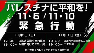 2023年12月10日 『パレスチナに平和を！日本政府は停戦を実現させろ！ #1210国会正門前大行動 』