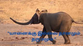 பழமொழிகள்-பகுதி:4