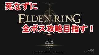 【ELDNERING】ノーデス練習、実況なし＃6【DLC追憶ボス】