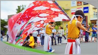 【4K】妃龍｜～彩～ 花衣（ひのよさこい2016）