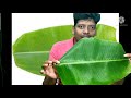 method of eating banana leaves and its explanation.