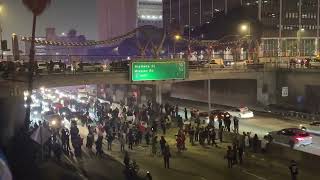 Protesters Block LA Freeway in Demonstration Against ICE