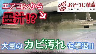 【閲覧注意】○年放置されたエアコンをおそうじ革命が徹底清掃！