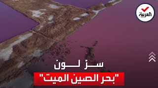 سر تحول بحر صيني للون الوردي.