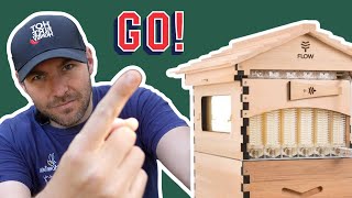 Stocking The Flow Hive - GO