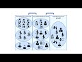 Focus Groups as a Participatory Action Research method