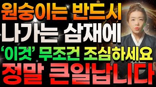 원숭이띠는 반드시 나가는 삼재에 '이것' 무조건 조심하세요! 조심하지 않으면 정말 큰일납니다! 56년생 68년생 80년생 92년생 원숭이띠 분들은 나가는 삼재 꼭 조심하세요