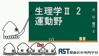 【関西医科専門学校】 生理学Ⅱ 2大脳の機能局在　運動野