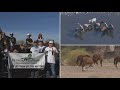 VIDEO: Salt River wild horses officially protected