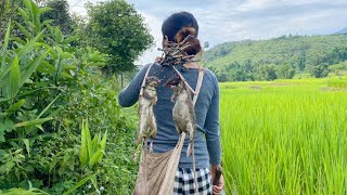 girl rural put a mousetrap (สาวดอย ใส่กับดักหนู)