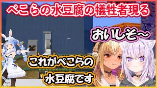 【ホロライブ切り抜き】ぺこらの水豆腐の犠牲者になるおかゆ【猫又おかゆ/不知火フレア/hololive】