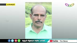 വാല്‍പ്പാറയില്‍ കാട്ടാന ആക്രമണത്തില്‍ പരിക്കേറ്റ് ചികിത്സയിലിരുന്ന തൊഴിലാളി മരിച്ചു.