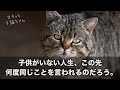 ゲリラ豪雨の中、義母を背負い1時間歩いてきたずぶ濡れの姪「100万円貸してください」夫「お金の話の前にやるべきことがある！！」→直後、普段温厚な夫がブチギレた結果【スカッとする話】