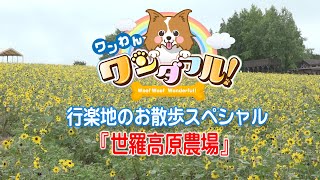 ワンわんワンダフル　第10回　行楽のお散歩スペシャル【世羅高原農場】