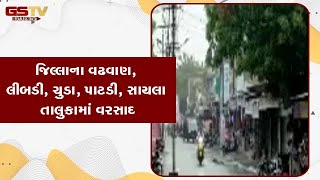 Surendranagar જિલ્લાના વઢવાણ, લીબડી, ચુડા, પાટડી, સાયલા તાલુકામાં વરસાદ