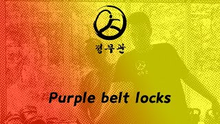 CMK Intermediate: Selfdefense: Purple belt locks