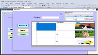 Visual Basic .net| How to insert images as OLE Object into MS Access database