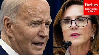 'Dems Need To Own This Insanity': Lisa McClain Absolutely Roasts Biden, Democrats