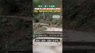 🤣猴子跑步跑出表情包，网友：它像是下定某种决心头也不回的跑了 #趣闻 #funny | China Origin 中国新视界