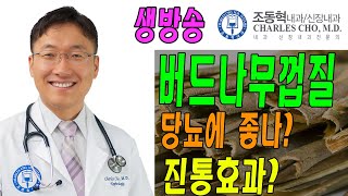 생방(3): 버드나무 껍질 복용하면 진통효과/당뇨에 좋나요?  (자연요법 vs 화학요법)