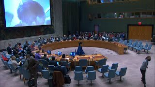 GLOBALink | UN security council considers safety of nuclear facilities in Ukraine