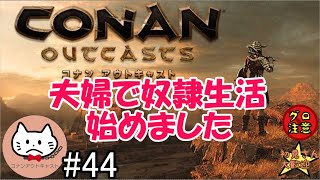 【PS4版】#44 砂漠の所、拠点の近くの穴巡り【コナンアウトキャスト追放の地】【夫婦】