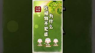 20140527 谛深大师开示：为什么吃植物不犯戒