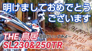 【伊豆の林道】鳥居林道 右回り 250TR＆SL230　【縞馬のOFF車日記】【Goproリニア画角】