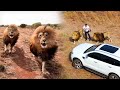 Meet the Characters: A Unique Bond with LIONS | The Lion Whisperer