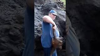 Man Finds THOUSANDS Of Ice Age Bones Stuck In Mud! #boneyard