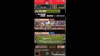 パズドラ 黒の契約龍