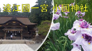 遠江國一之宮 小國神社と花菖蒲：Oguni Shrine and blooming irises（Japan）