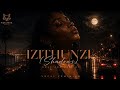 Izithunzi (Shadows) Amapiano | New Afro Deep House