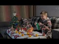 let s taste candy before christmas. konfektes pirms ziemassvētkiem. Пробуем конфеты перед Рождеством