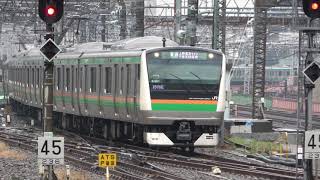 (4K) JR東日本 E233系3000番台(東海道線 宇都宮線 高崎線)