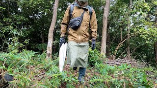 10月雨のハイキング。防水ザックにレインウェアの組み合わせと雨宿り