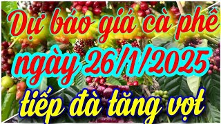 giá cà phê hôm nay ngày 26/1/2025