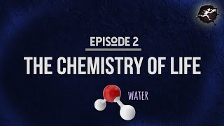 What Makes Water So Special? UntamedScience #2