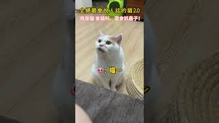 全網最會說人話的貓20 我是貓會貓叫還會抓蟲子！#cat  #cute#cutecat #healing #funny