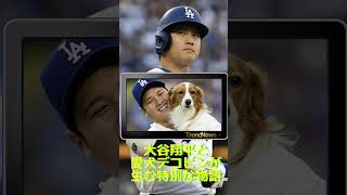 🔷大谷翔平SHOW TIME＆MLB #shorts大谷翔平と愛犬デコピンが生む特別な物語