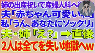 【スカッとする話】姉の出産祝いで産婦人科へ行くと、夫「赤ちゃん可愛いね」私「うん、あなたにソックリだった」夫・姉「え？」直後、2人は全てを失い地獄へw