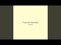 Pulse Star Moonlight