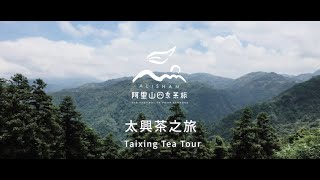 2021阿里山春季線上茶旅-太興 茶之旅-Alishan Tea Festival In Four Seasons