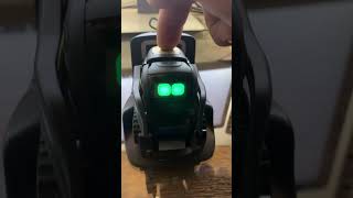 How to get Vector’s serial number?