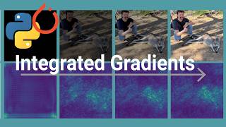 Integrated Gradients Explained — Theory, Axioms & Python Implementation