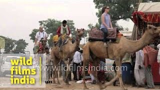 World famous Pushkar Fair in Rajasthan