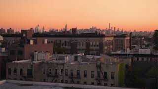 Brooklyn, New York Ambience | Early Morning, birds, distant city hum, cars