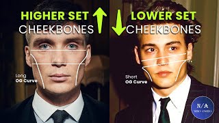 Higher Set Vs Lower Set Cheekbones - What's More Attractive ? (blackpill)